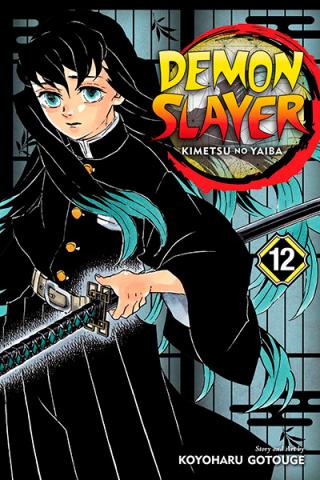 Demon Slayer Kimetsu no Yaiba Vol 12