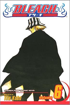 Bleach Vol 6