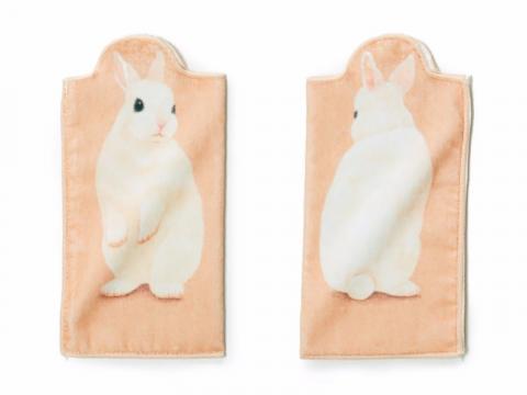 Bottle Towel Dwarf Hotot Rabbit