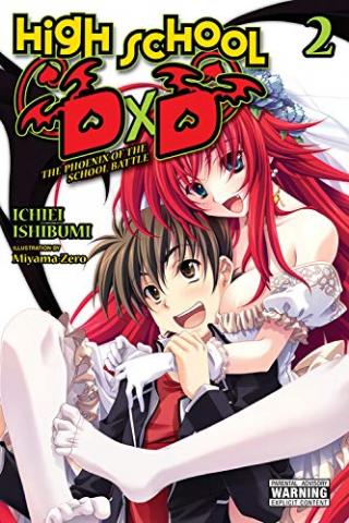 High School DXD Light Novel 2