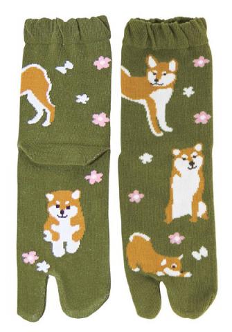 Socks Two-toe Tabi Hanashiba (Dog)