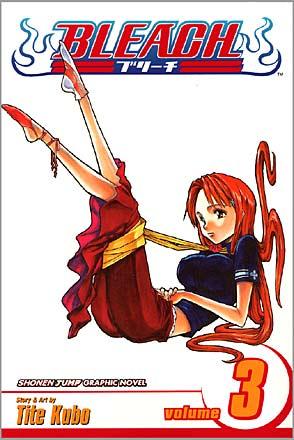 Bleach Vol 3