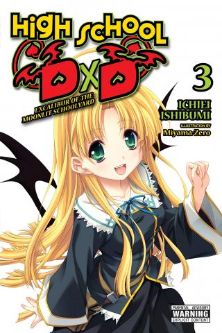 High School DXD Light Novel 3