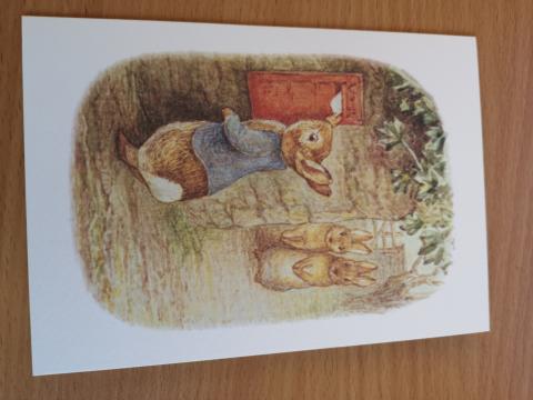 Peter Rabbit Postbox Card