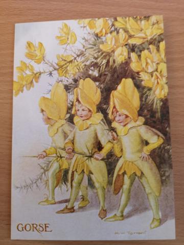 Fairy Land With Gorse Card