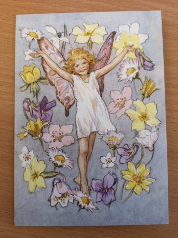 Fairy Land With Daisies Card