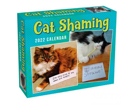 Cat Shaming 2022 Day-to-Day Calendar