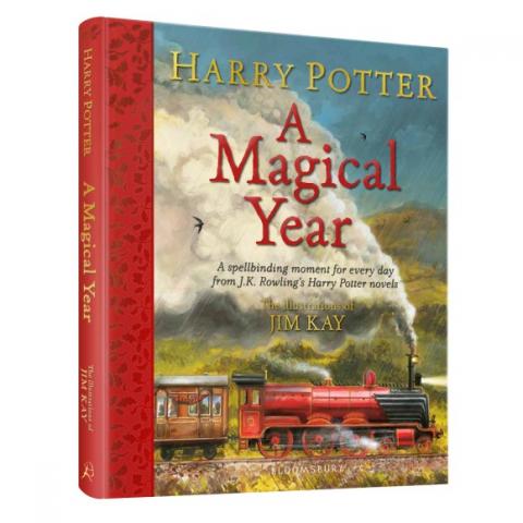 Harry Potter – A Magical Year