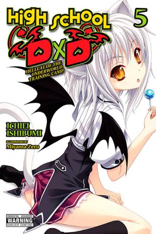 High School DXD Light Novel 5