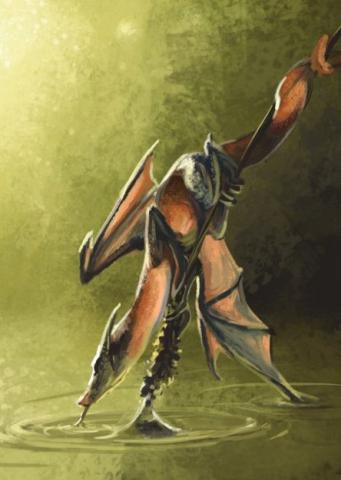 Vykort - Snail Dragon