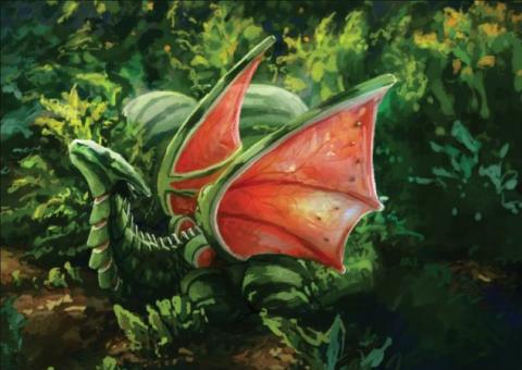 Vykort - Fruit Dragon