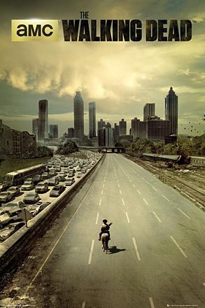 Walking Dead City Poster (#27)