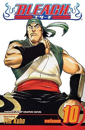 Bleach Vol 10
