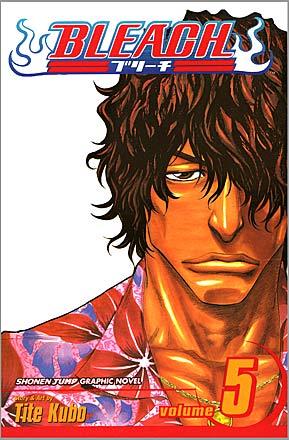 Bleach Vol 5