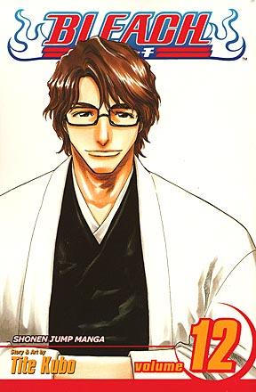 Bleach Vol 12