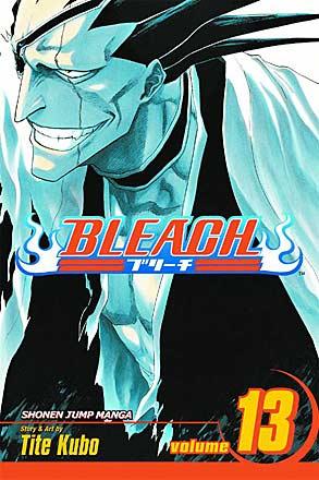 Bleach Vol 13