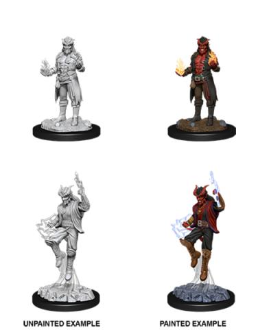 Tiefling Male Sorcerer (2020)