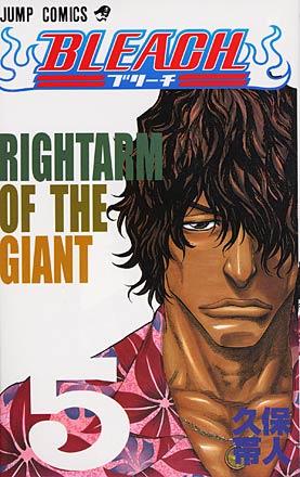 Bleach Vol 5 (Japansk)