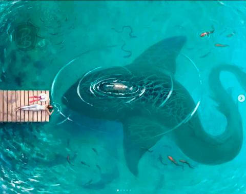 Vykort - Ocean Friend