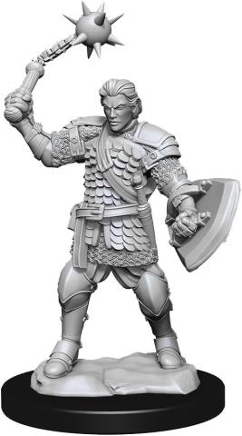 Human Clovis Concord Cleric Male Unpainted Miniature