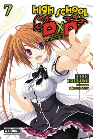 High School DXD Light Novel 7