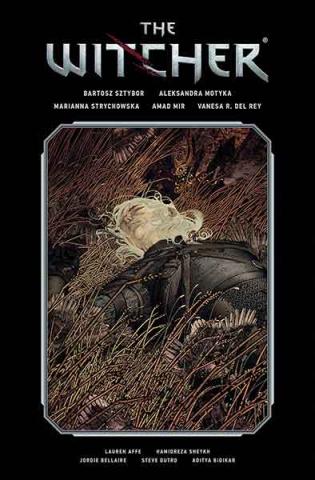 The Witcher Library Edition Vol 2