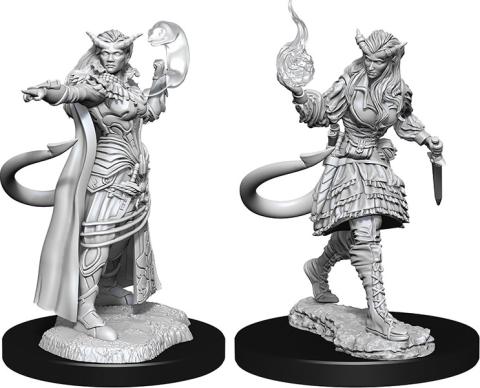 Tiefling Sorcerer Female Tiefling Sorcerer Female