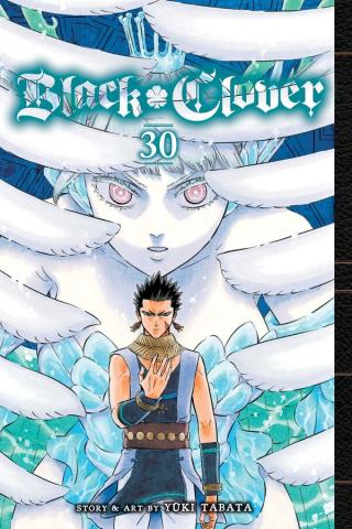 Black Clover Vol 30 Black Clover Vol 30