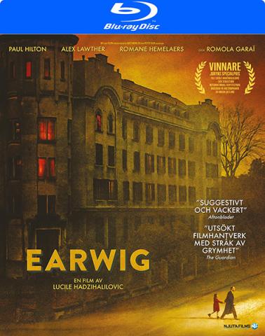 Earwig