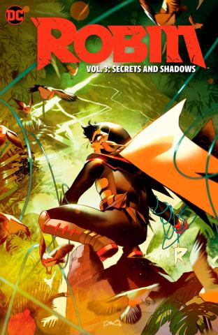 Robin Vol 3: Secrets and Shadows