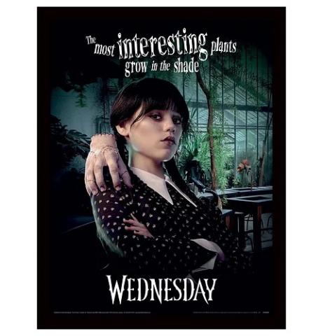 Shade Framed Print 30 x 40 cm Shade Framed Print 30 x 40 cm