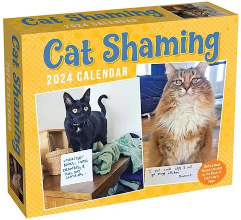 Cat Shaming 2024 Day-to-Day Calendar Cat Shaming 2024 Day-to-Day Calendar