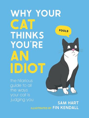 Why Your Cat Thinks You're an Idiot Why Your Cat Thinks You're an Idiot