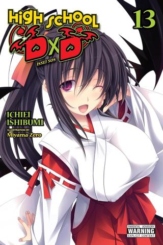 High School DXD Light Novel 13