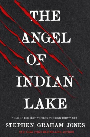 The Angel of Indian Lake The Angel of Indian Lake