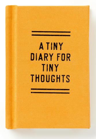 A Tiny Diary for Tiny Thoughts A Tiny Diary for Tiny Thoughts