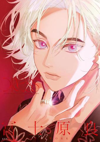 Ryo Fujihara Artworks: -DRESS- (Japansk)