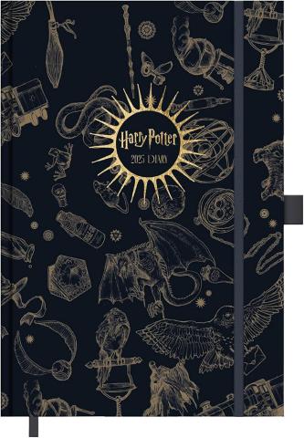 Harry Potter 2025 A5 Diary Enchanted Chronicles Harry Potter 2025 A5 Diary Enchanted Chronicles