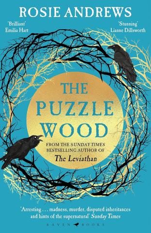 The Puzzle Wood The Puzzle Wood