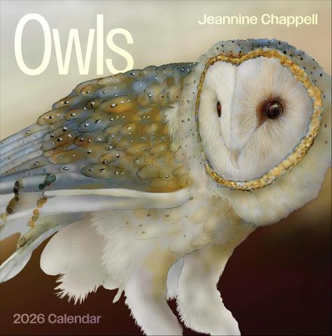 Owls Jeannine Chappell 2026 Wall Calendar Owls Jeannine Chappell 2026 Wall Calendar