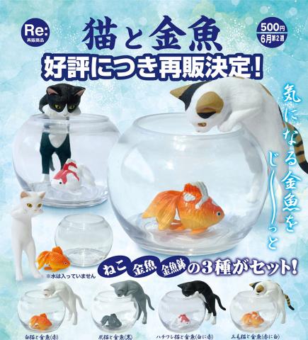 Cat & Goldfish (Gacha)