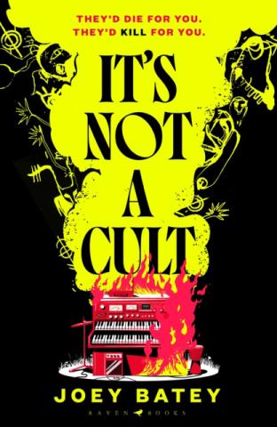 It's Not a Cult It's Not a Cult