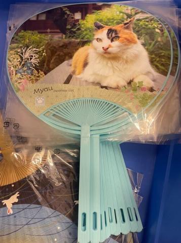 Fan Myau Neko Turqoise