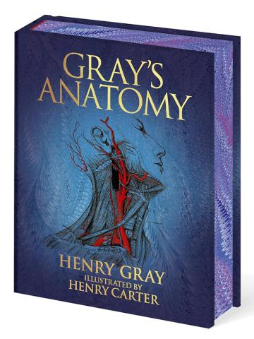 Gray's Anatomy (Arcturus Epic Classics) Gray's Anatomy (Arcturus Epic Classics)