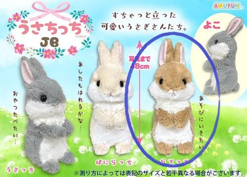 Bunny Plush Big: Curious Rate