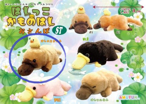 Platypus Plush Medium Hashinosuke-san