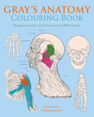 Gray's Anatomy Colouring Book
