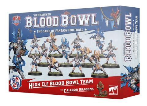 High Elf Blood Bowl Team High Elf Blood Bowl Team