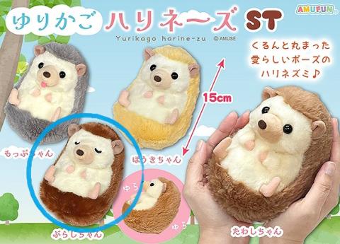 Hedgehog Plush Small: Burashi-chan Curled Up