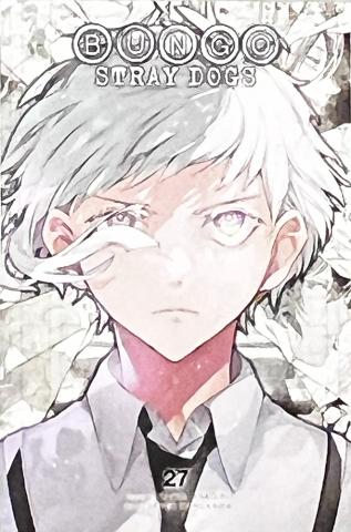 Bungo Stray Dogs Vol 27